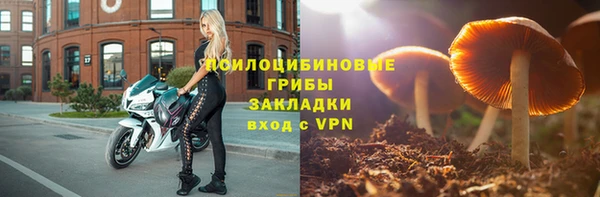 ПСИЛОЦИБИНОВЫЕ ГРИБЫ Верхний Тагил