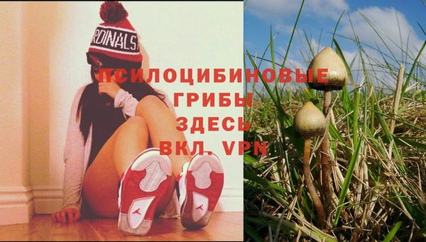 бутират Володарск