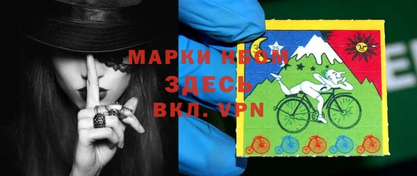 PSILOCYBIN Верея