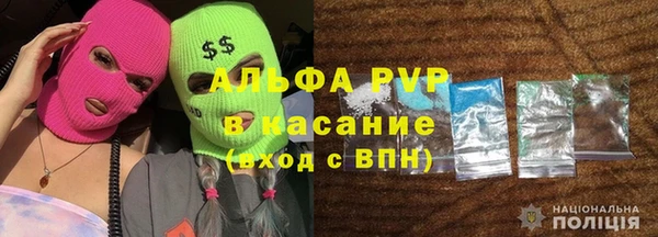 PSILOCYBIN Верея