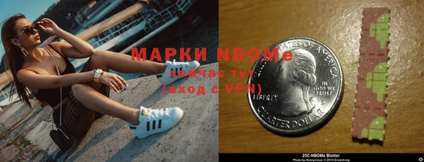 индика Пестово
