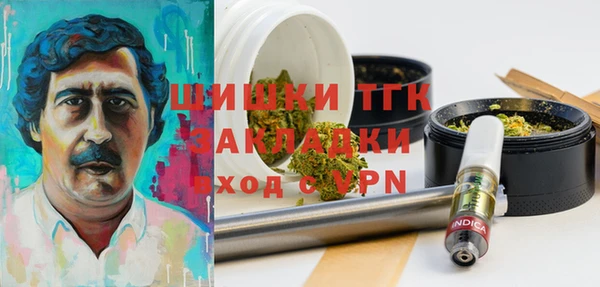 дживик Волоколамск